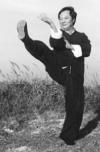 wong_shun_leung%20kick